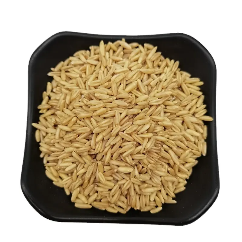 High Quality Naked Oats Grain Pollution-free Restaurant Large Flake Rolled Oats