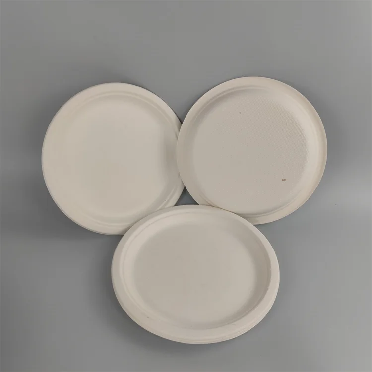 bagasse paint tray