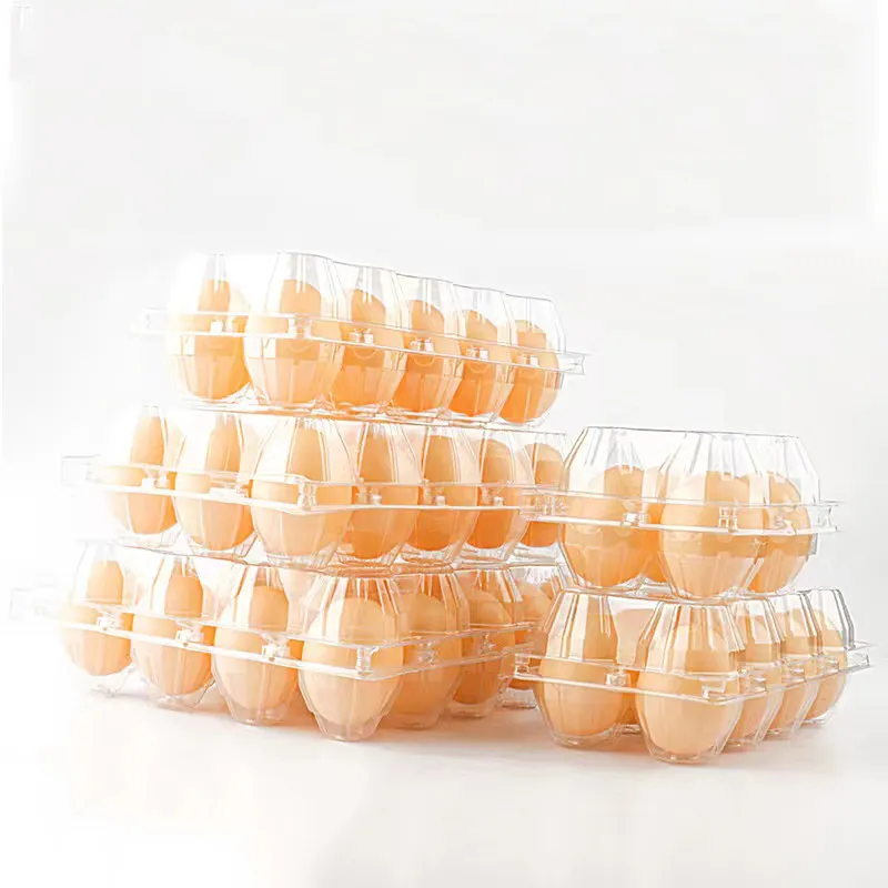 Embalagem de ovos de plástico descartável, transparente vazio com 4/6/8/12 furos, decoração de casa faça você mesmo