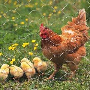 Rete di filo di ferro zincato rete metallica esagonale coniglio cane metallo filo rete di rete Chian recinzione affidabile fabbrica 1 rotolo