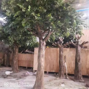 Şekil ağaçları profesyonel üreticisi yapay büyük zeytin ağacı büyük zeytin ağacı düğün film sahneler dekorasyon için - Product Image 5