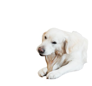 Yeni çevre dostu ısırmaya dayanıklı naylon köpek oyuncakları diş çıkarma kemik şekli köpek çiğneme oyuncakları köpek oyuncakları ağır Chewers için - Product Image 6