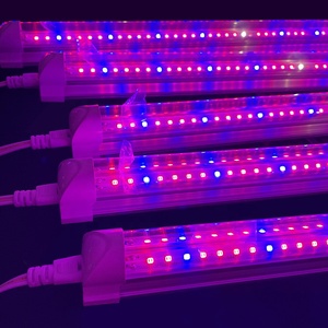 T8 màu xanh 730nm Red 660nm UV IR <span class=keywords><strong>LED</strong></span> phytolamp trong nhà bổ sung chiếu sáng cây <span class=keywords><strong>LED</strong></span> phát triển đèn - Product Image 1