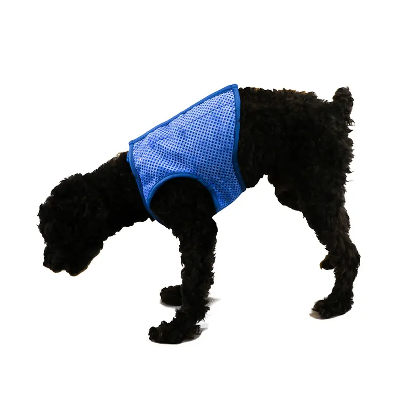 Pva confortevole Ice Pet Dog Outdoor Shirt Summer traspirante Dog Cooling Vest abbigliamento per promozionale
