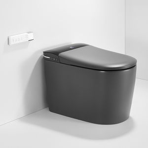 Smart Auto High End Toilets Modern Automatic Smart Toilet Auto Open/Close Lid, Floor Mounted Installation (CE Certified) - Product Image 1