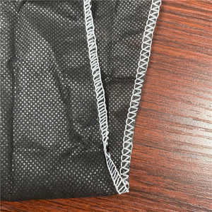 项目名称: 一次性无纺布G串丁字裤妇女G串内裤 - Product Image 6