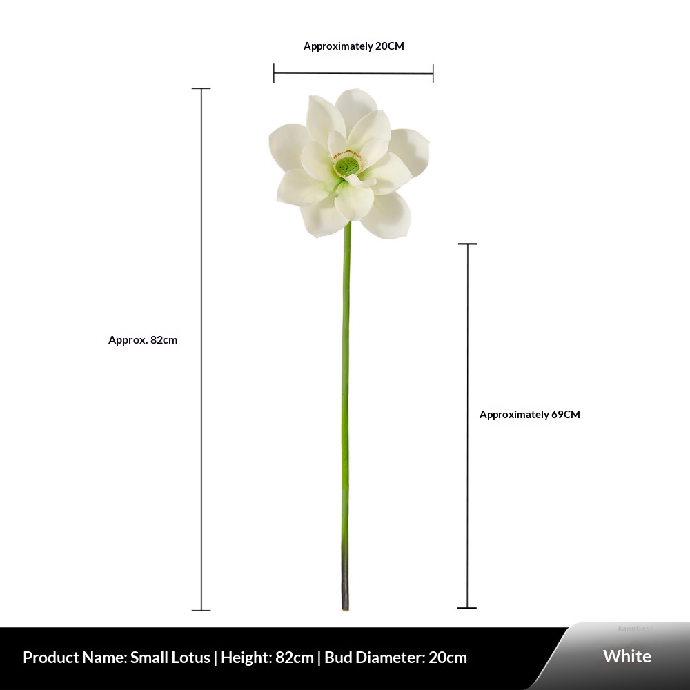 Petit lotus blanc à colle