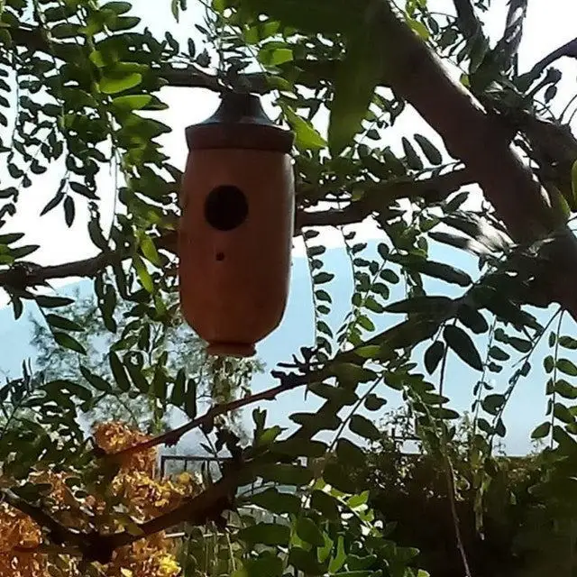 Casa de colibrí Casa de madera para pájaros, nido de madera para exteriores, jaula para pájaros