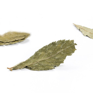 بالجملة كميات كبيرة عالية الجودة الأعشاب المجففة طبيعيا أوراق التوت الأحمر أوراق الشاي للبيع - Product Image 5