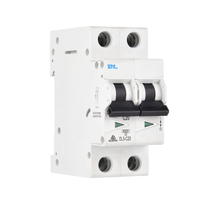 AC MCB 2P 240V 6KA Mini devre kesici hava anahtarı 6A 10A 16A 20A 32A 40A 50A 63A aşırı yük kısa devre koruyun - Product Image 1