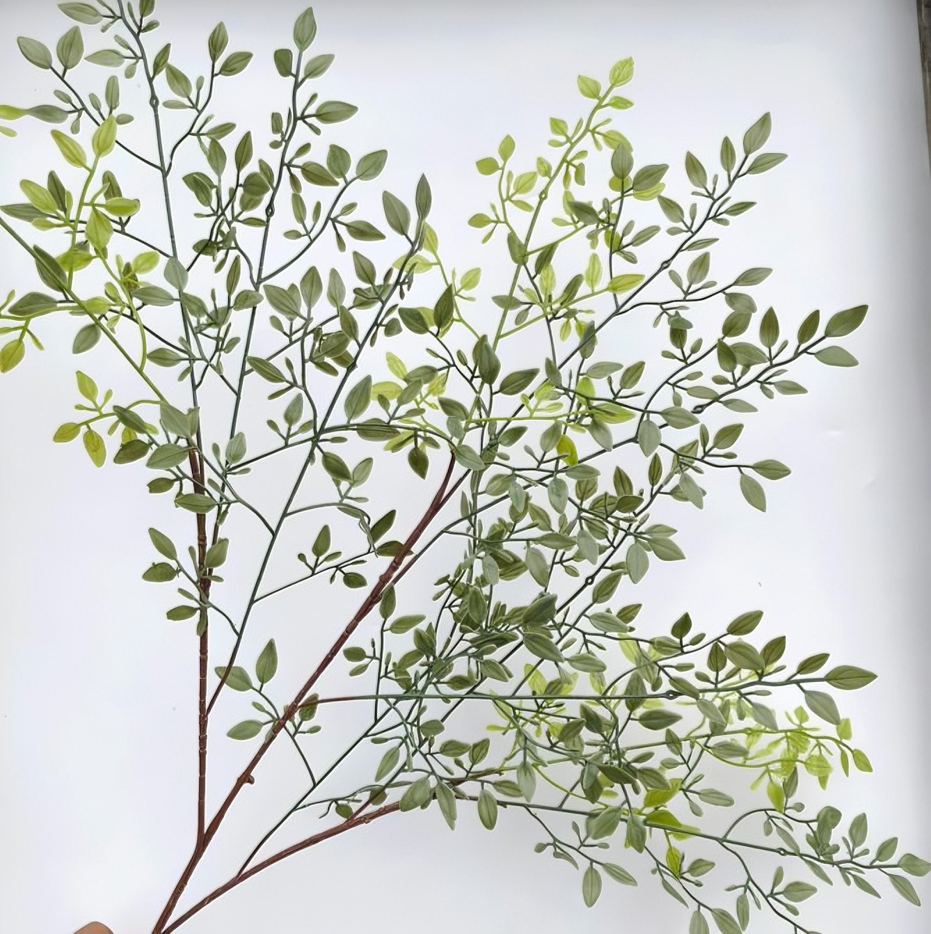 Hoja de sándalo de una sola pieza