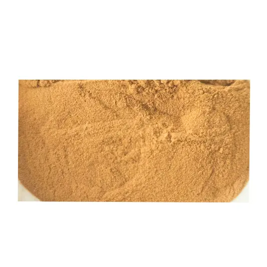 Extracto orgánico a granel de hongo Lingzhi Ganoderma Lucidum Reishi