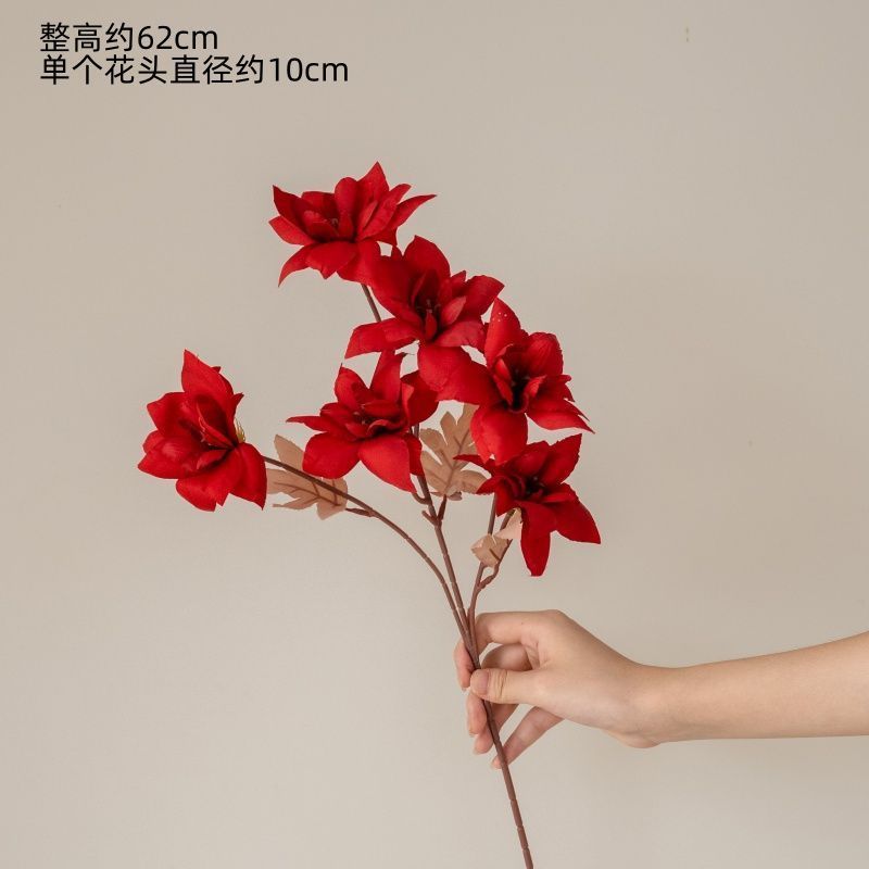 Branche unique de gloire du soir rouge