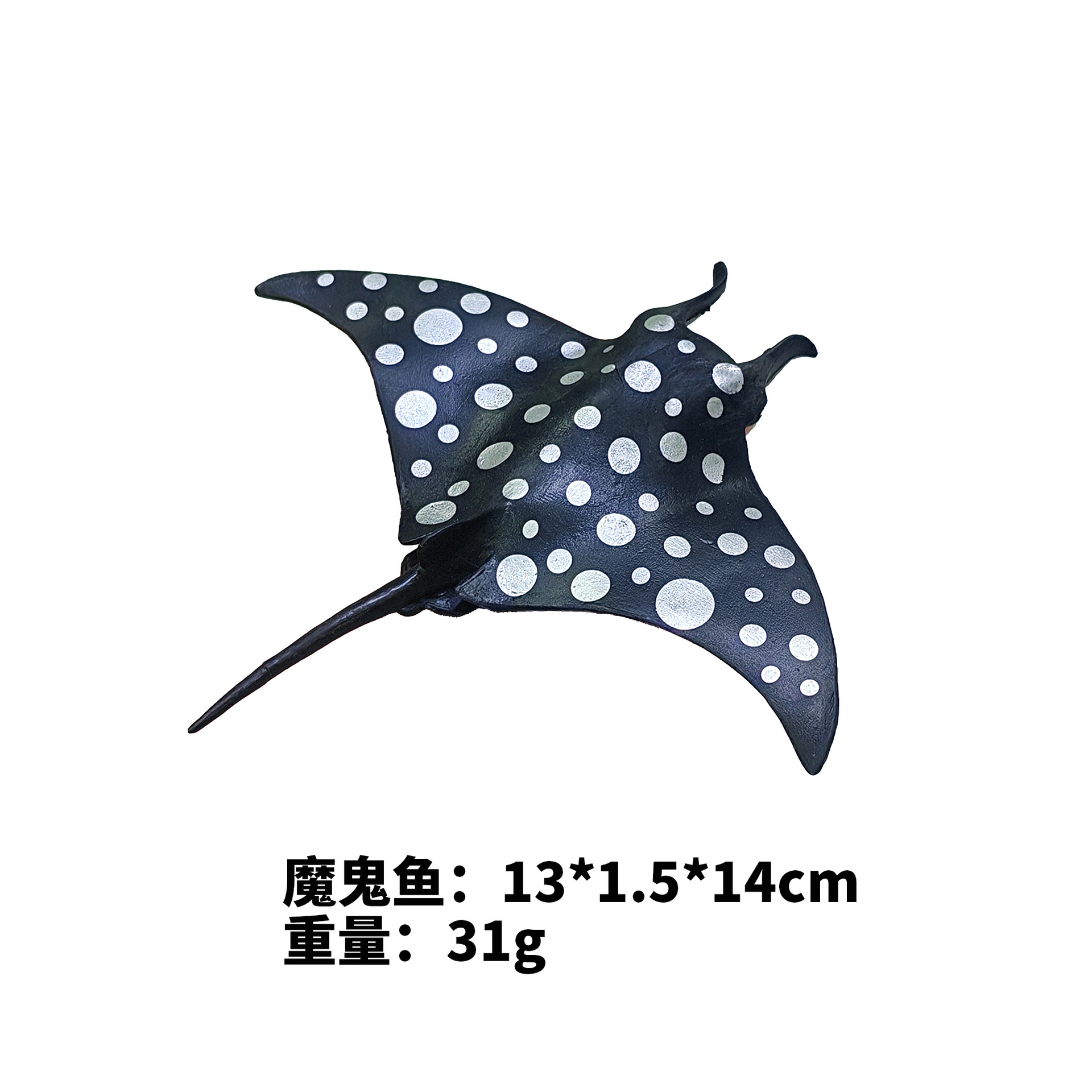 Manta Ray