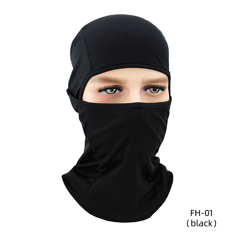 FH-01