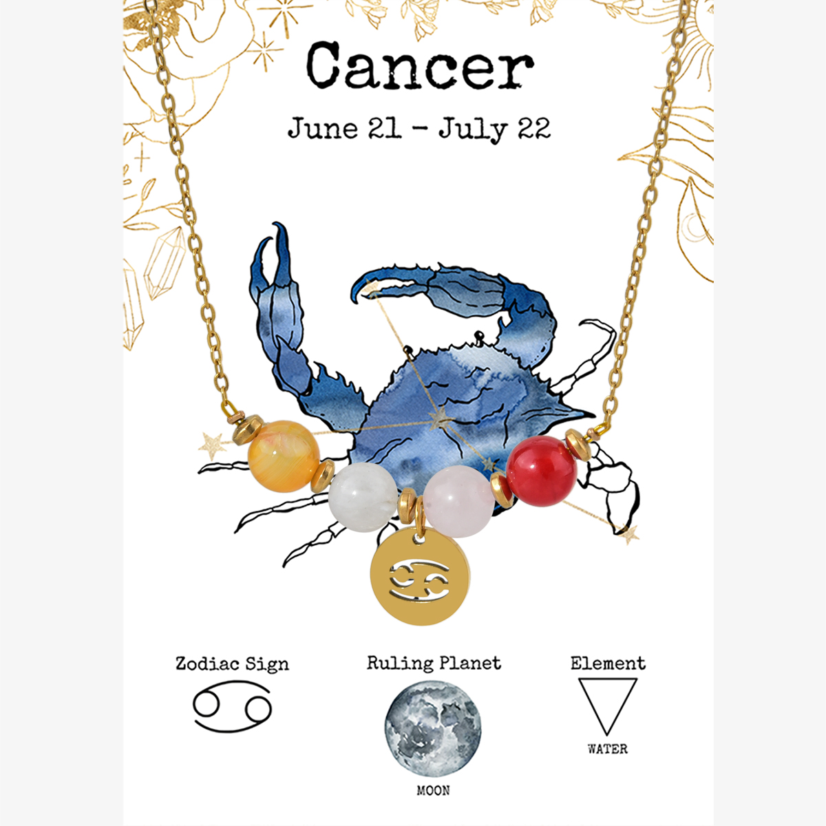 มะเร็ง NE240213-4