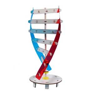 Montessori blok öğrenme kaynak DNA yapısı yapboz oyuncak duyusal istifleme insan gen modeli montaj bilim oyuncak - Product Image 1