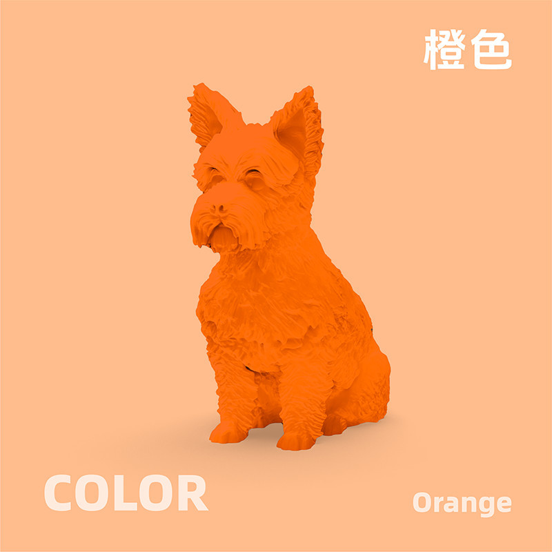 Orang