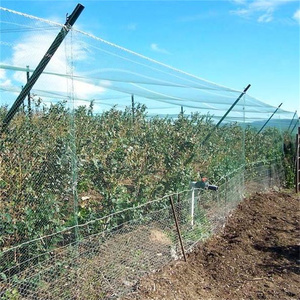 Reticolato verde Anti uccello per alberi da frutto reticolato in plastica PE per scoiattoli UV uccello reticolato - Product Image 6