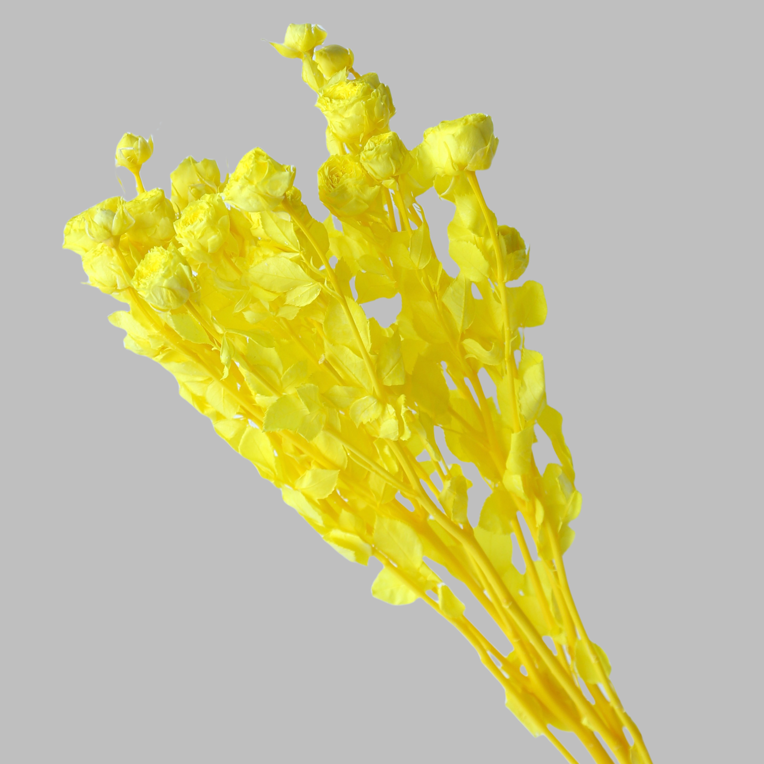 Amarillo
