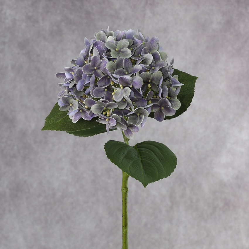 Pu2 violet vert