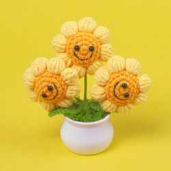 3 heads and 4 circles smiley face potted plants