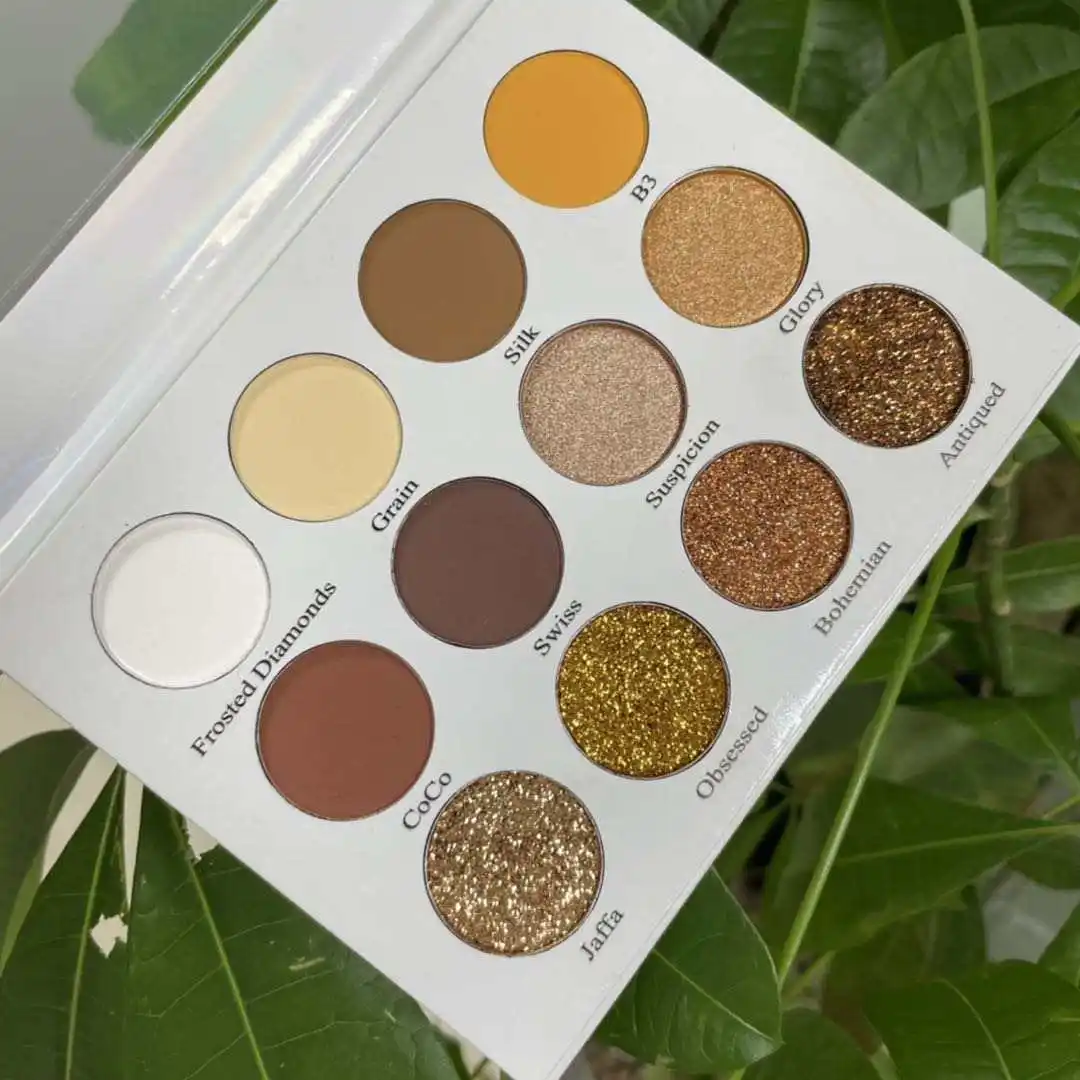 Palette de maquillage vendeurs de cosmétiques ombre à paupières longue durée Palette de fard à paupières multicolore à paillettes mates