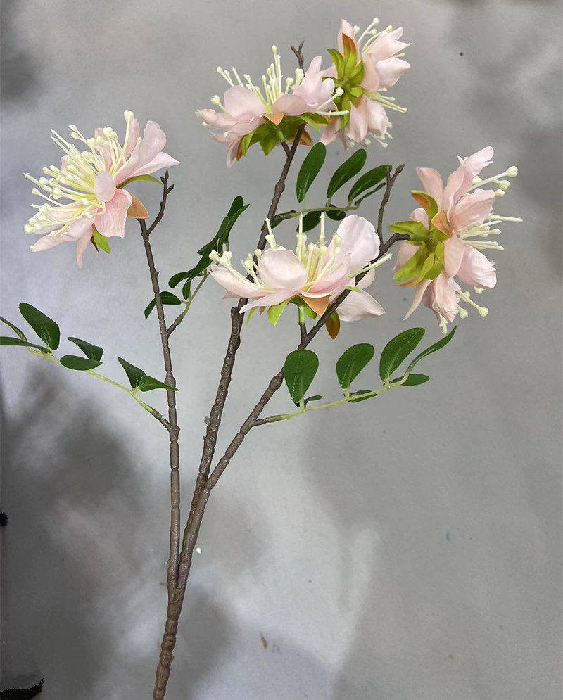 Rose pâle 02