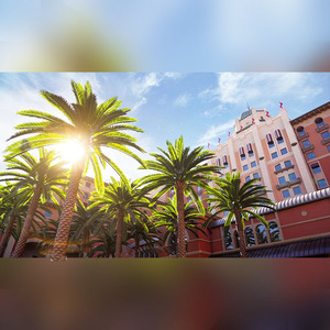 Okul hükümet binası dekor özel peyzaj projesi Evergreen büyük Phoenix Canariensis açık yapay yaprak dökmeyen ağaçlar - Product Image 2