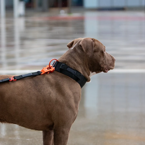 OEM Taktisches Hundegeschirr hiçbir çekme taktik ağır köpek koşum seti ayarlanabilir naylon köpek tasması ve tasma seti - Product Image 6