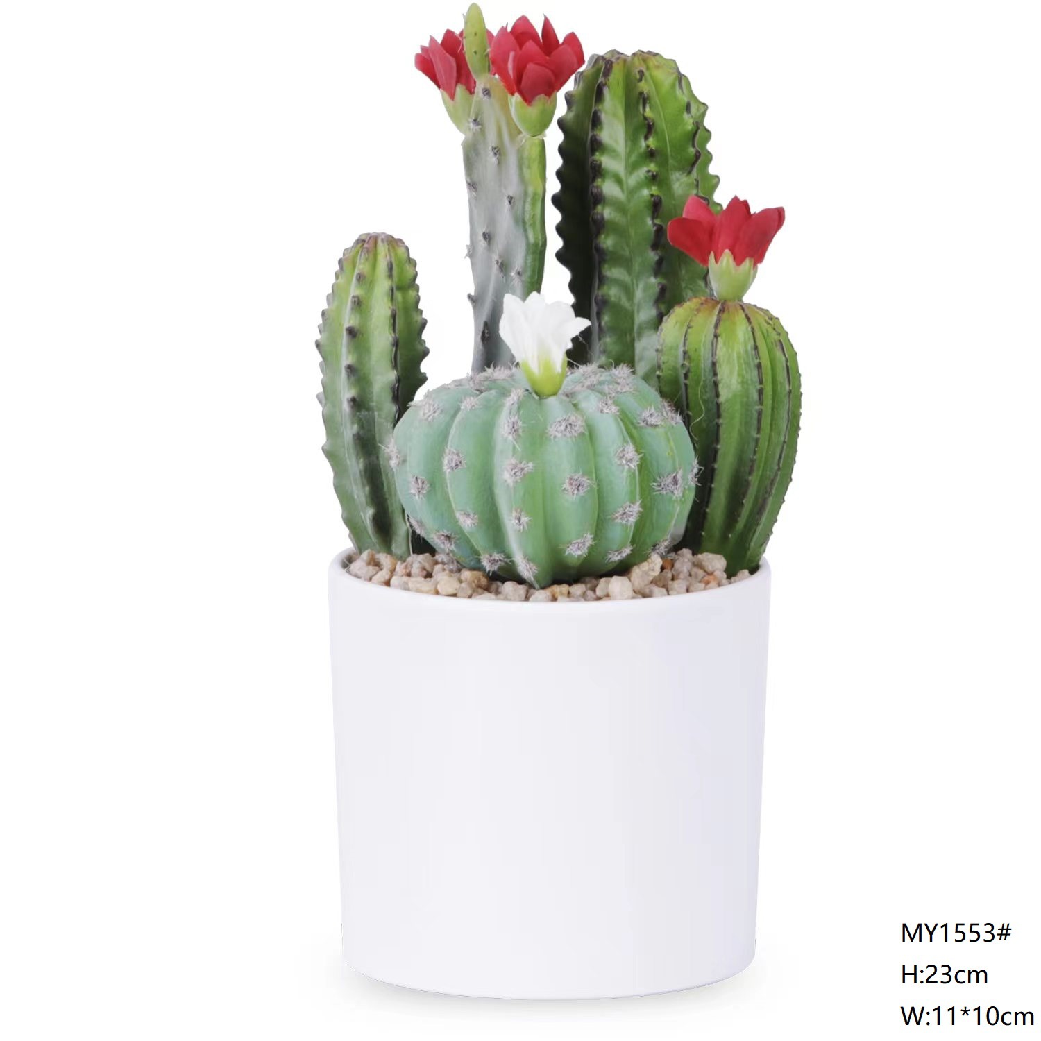 Mini cactus de 23 cm estilo bonsái mixto a