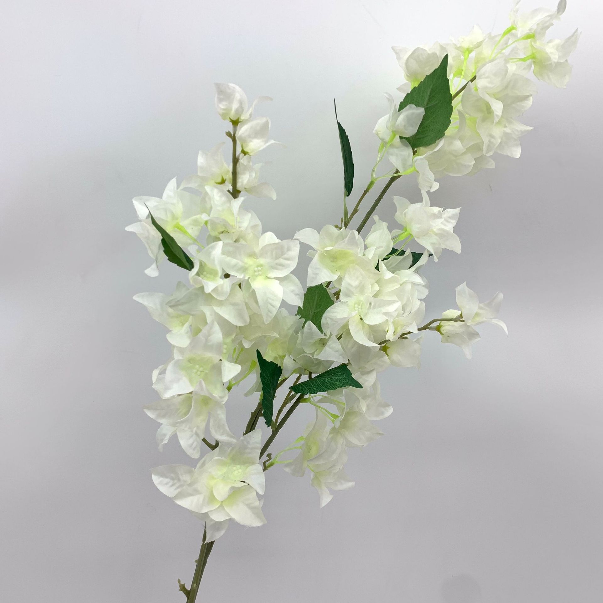 white5