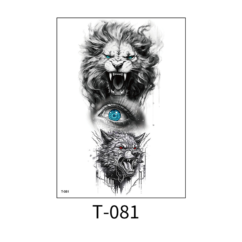 T-081