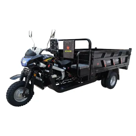 Triciclo de gasolina de 250cc, triciclo de carga, motocicleta de tres ruedas