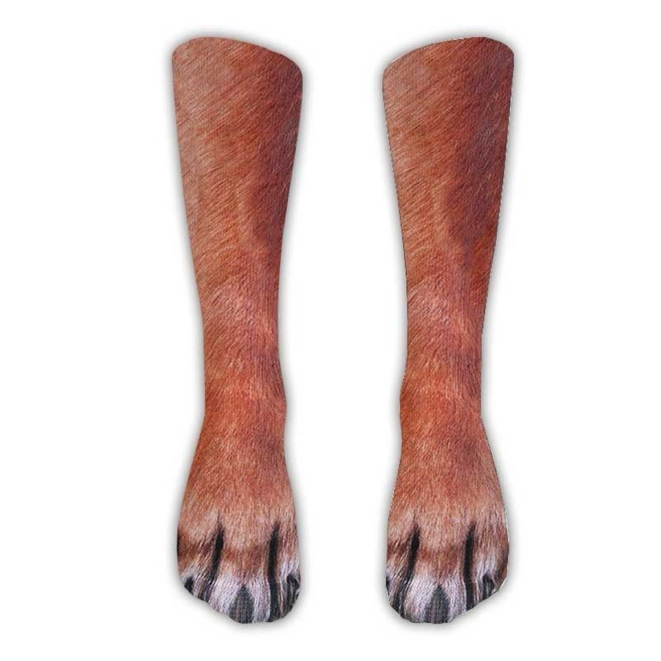 Red dog paws