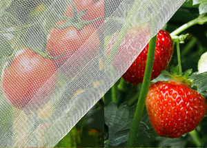Best <strong>Selling</strong> 2.5*10M Plastic Garden Mesh <strong>Netting</strong> Custom Cutting Service with Fine Mesh Hoops Clips Insect Protection Tunnel - Product Image 6