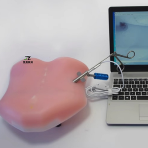 Transforaminal Endoscope Simulation <strong>Human</strong> <strong>Back</strong> Model TESSYS Model Lumbar Disc Herniation Training Model - Product Image 5