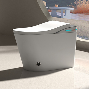 <strong>Bidet</strong> De Toilette Electric Cleaning Function <strong>Wc</strong> Smart Toilet With <strong>Bidet</strong> and Toilet <strong>Wc</strong> Smart Seat Sprayer for Bath - Product Image 3
