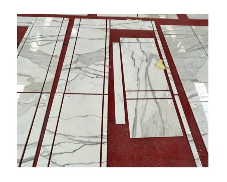 Commerci all'ingrosso popolare Bianco Calacatta Marble Marmi Bianco Calacatta per piastrelle per pavimenti dell'hotel