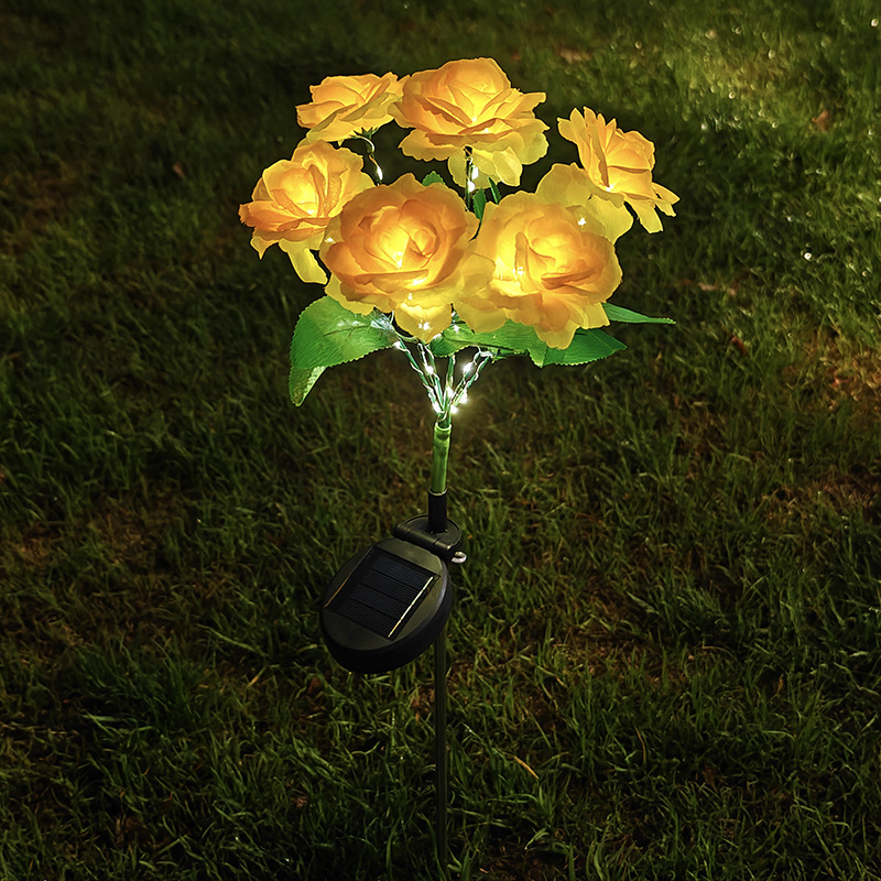 Yellow Rose