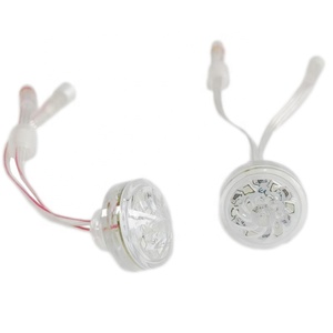 <strong>Programable</strong> 30mm 9leds Funfair <strong>Rgb</strong> Pixel <strong>Led</strong> Point Light for Amusement Park Lighting - Product Image 1