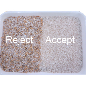Máquina automática de clasificación de arroz parcocido, nuevo modelo, CCD, para Molino de arroz, 2022 - Product Image 5