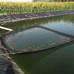 <strong>HDPE</strong>/LDPE/LLDPE Geomembrane for Environmental Protection Isotation Anti-Seepage Waterproof - Product Image 3