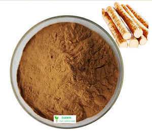 100% <strong>Natural</strong> Organic <strong>Burdock</strong> Extract Root Powder <strong>Burdock</strong> Extract Powder - Product Image 1