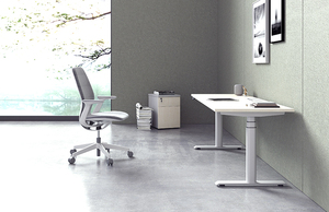 Ergonomic Dual Motor Electric Height Adjustable Stand Fast <strong>Installation</strong> Modern Style Office <strong>Computer</strong> Desk Modular Home Use - Product Image 2