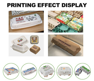 蛋盒包装用高速自动单程数码喷墨打印机三面印刷新情况 - Product Image 6