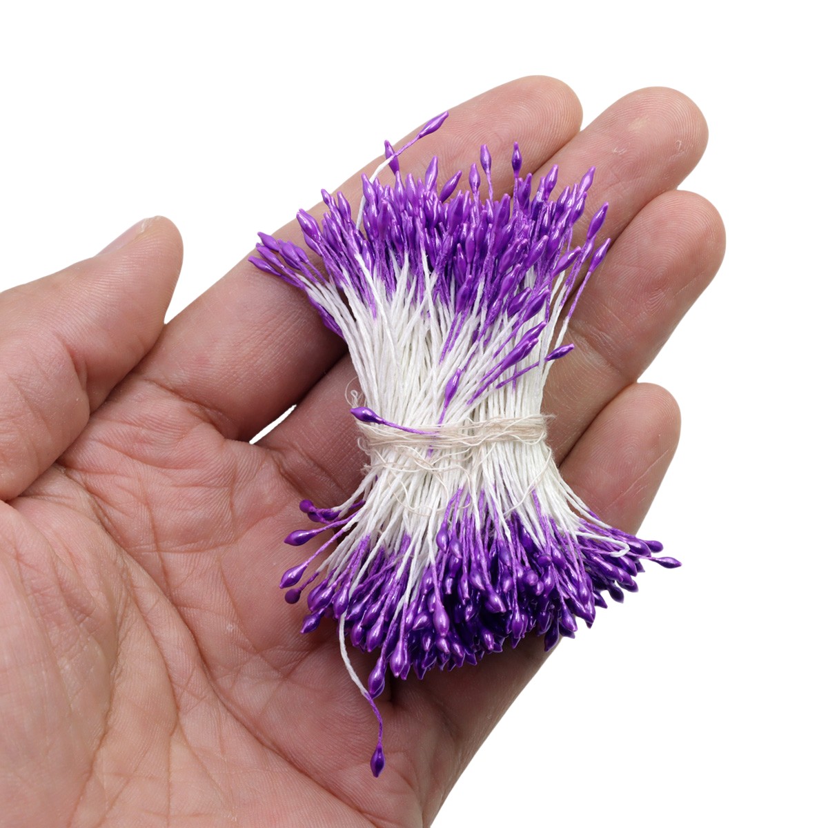 morado 26