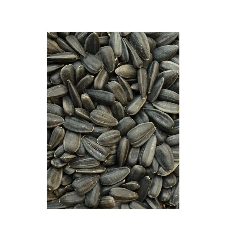 Confectionery Sunflower Nuts & Kernels Sunflower Seed Spices Packaging Raw Origin Human Type Model Trading