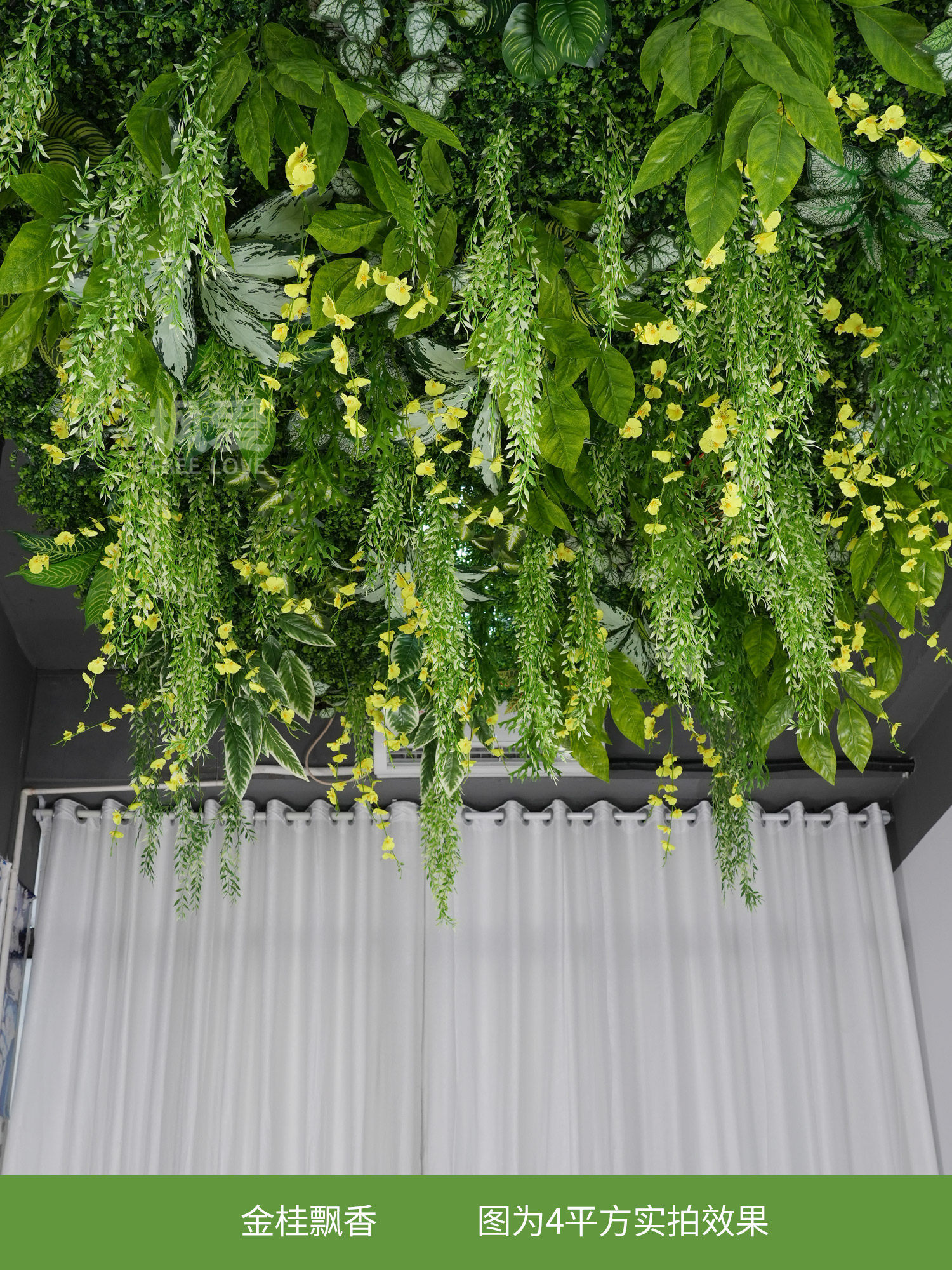 Golden osmanthus fragrance-average price per square meter