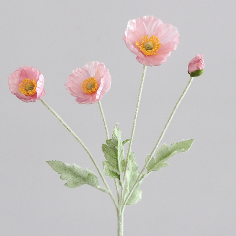 rosa claro